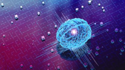 A digital brain and circuitry