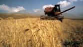 Armenia's agriculture sector