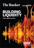 Building liquidity: debt capital markets