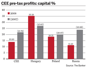 CEE pre-tax profits: capital %