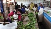 Two-fifths of Mozambique's GDP comes from farming and food