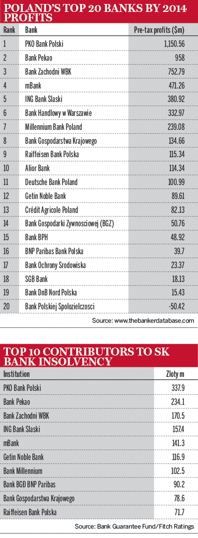 Poland top 20 banks by 2014 profits