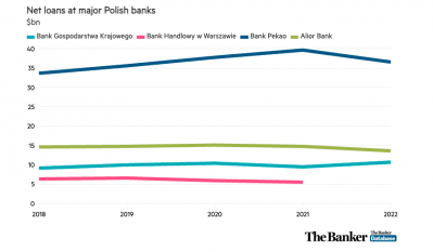 Polish net loans