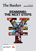 Renminbi: the next steps