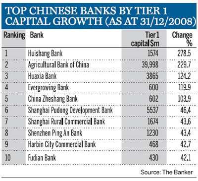 Top Chinese Banks by tier 1 capital growth (as at 31/12/2008)