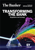 Transforming the bank: Regulation and strategy