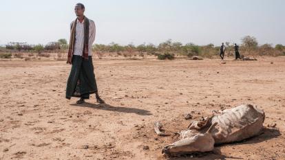 africa drought