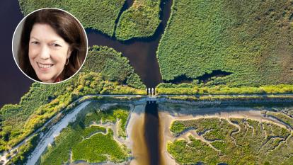 Bird's eye view of river dam surrounded by forest, with inset image of Robin Millington, CEO of Planet Tracker
