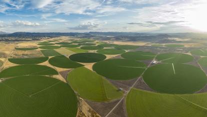 An aerial view of green crop circles in Nevada.
