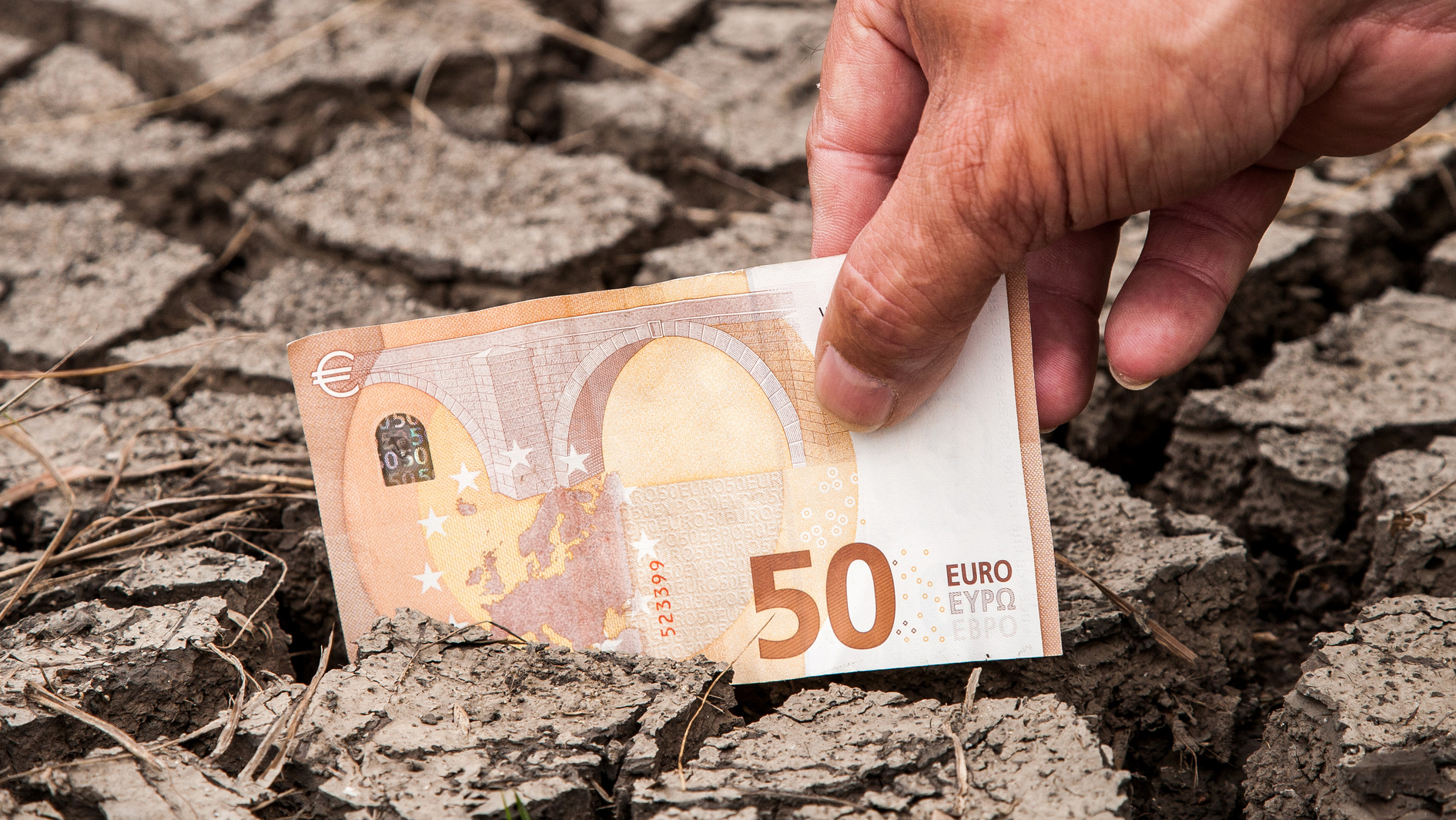 euro and climate change