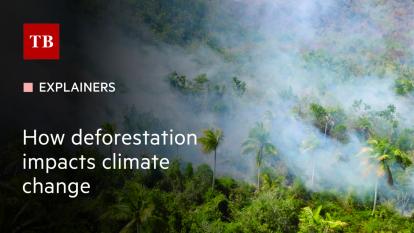 How deforestation impacts climate change