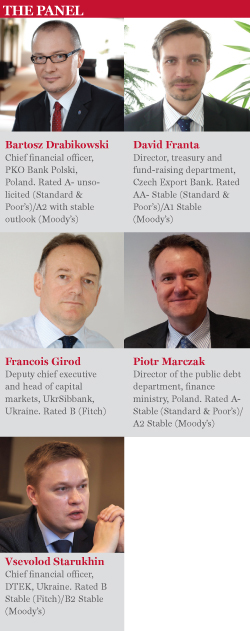 Issuers on the fringes of Europes crisis PANEL