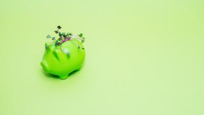 A green piggy bank with a plant growing from it