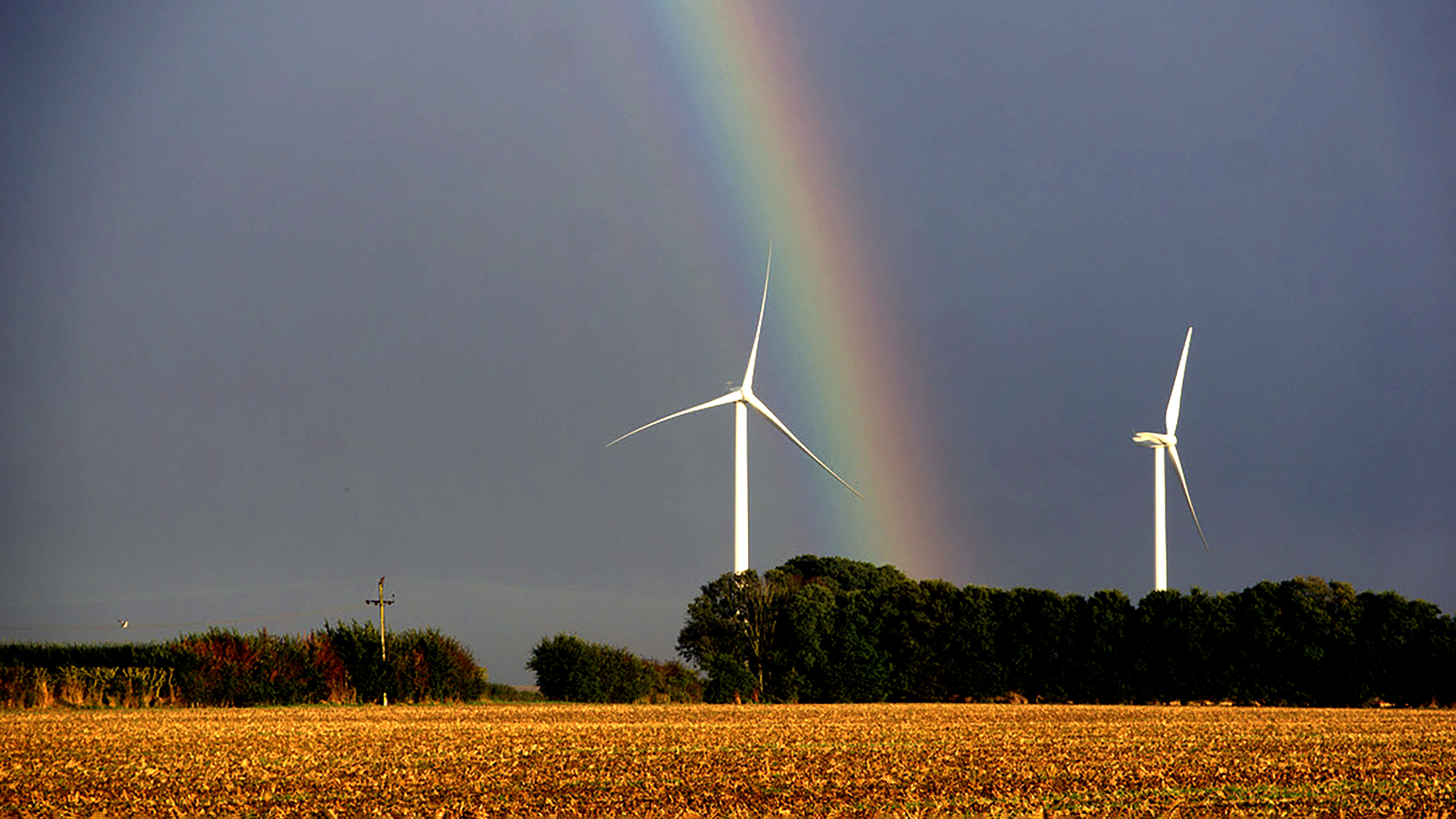 Rainbow wind turbines