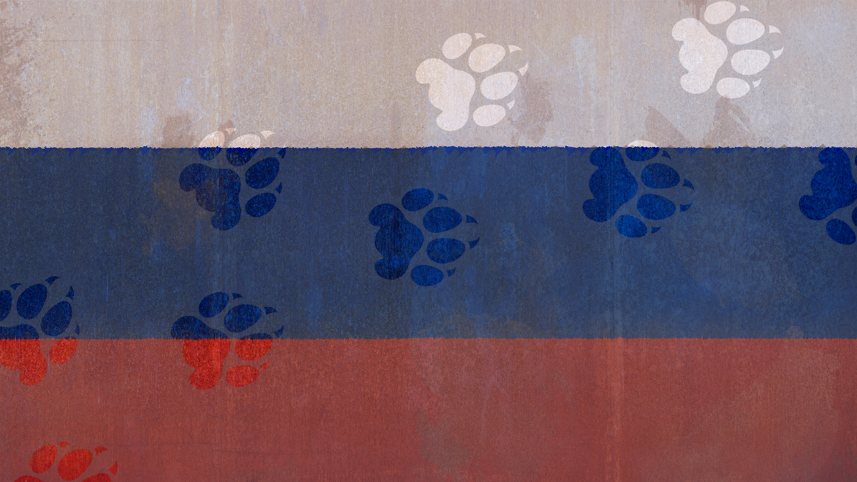 A Russian flag with a cat's paw prints imprinted across it.