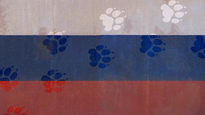 A Russian flag with a cat's paw prints imprinted across it.