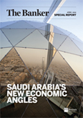 Saudi Arabias new economic angles
