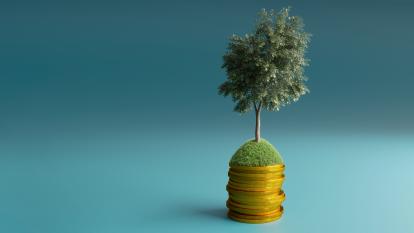 A CGI of a tree on a hill, sitting atop a stack of coins.